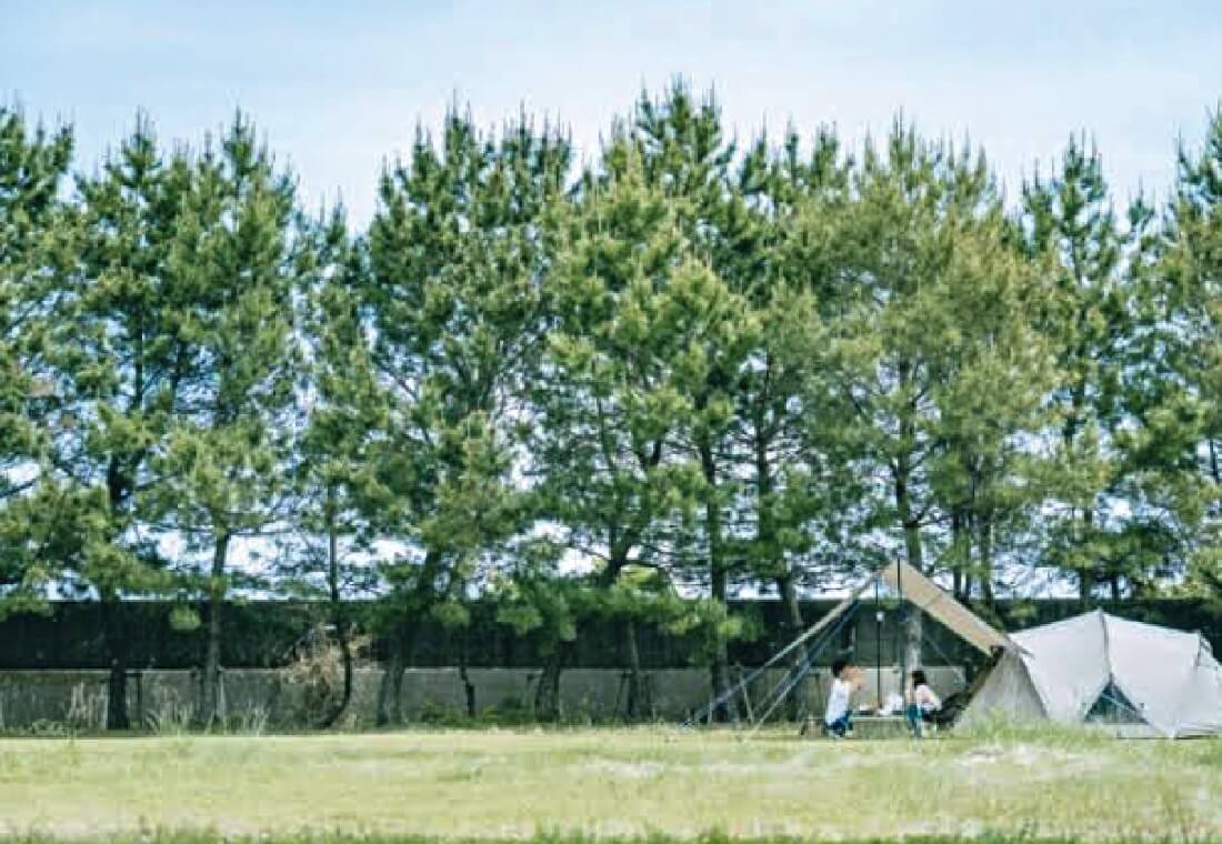 キャンプ場