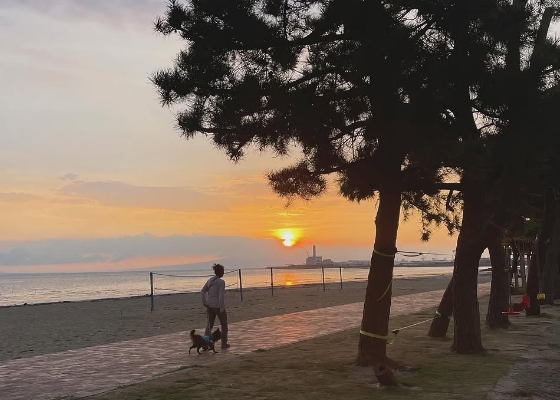 夕日ウォッチング