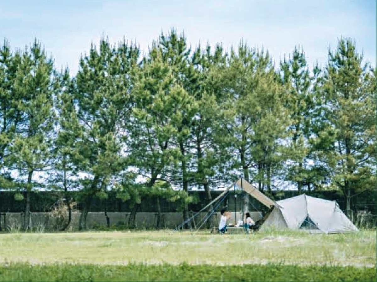 キャンプ場